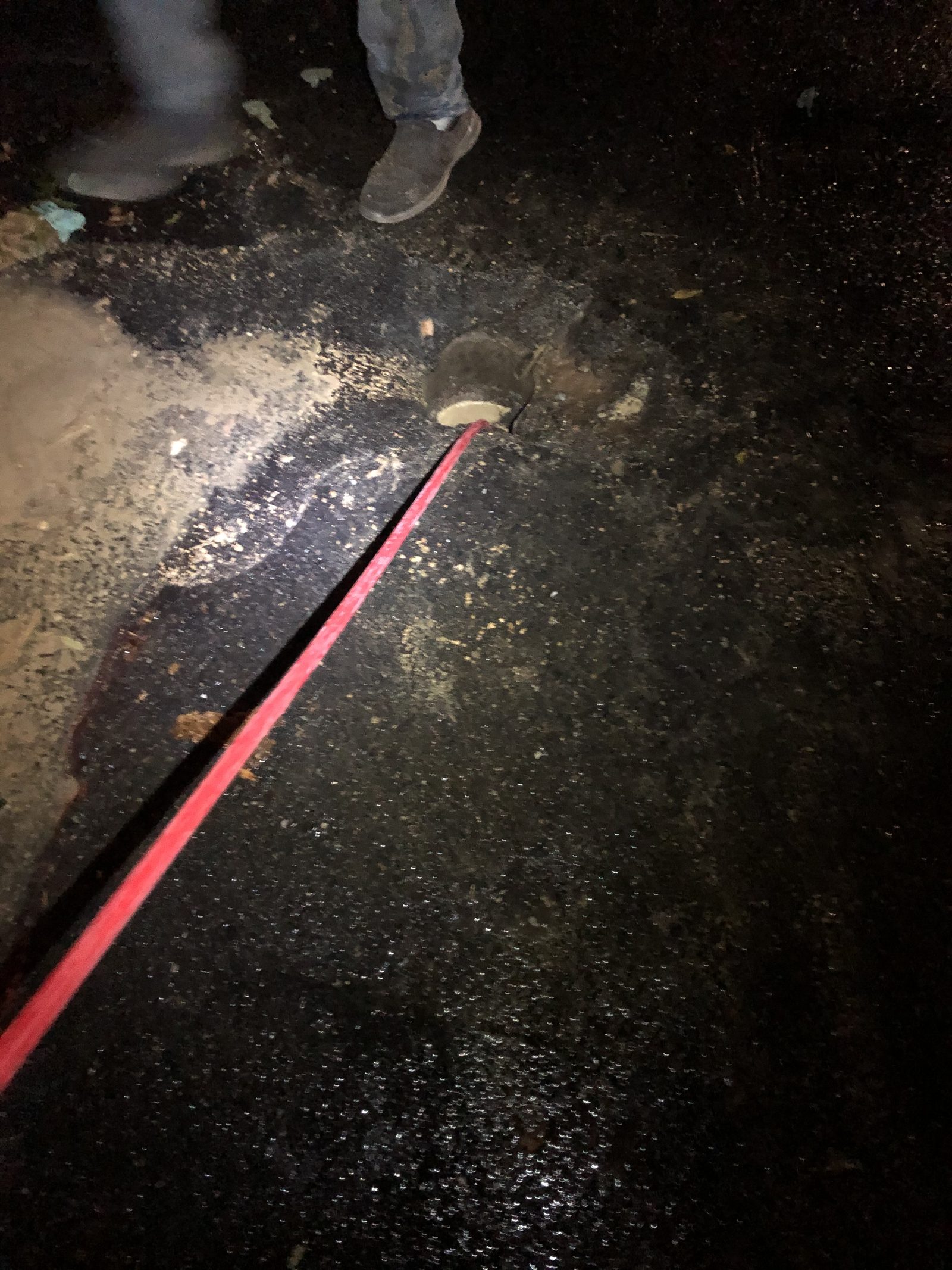 Project Detail — Detail shot from a Sacramento area job site.