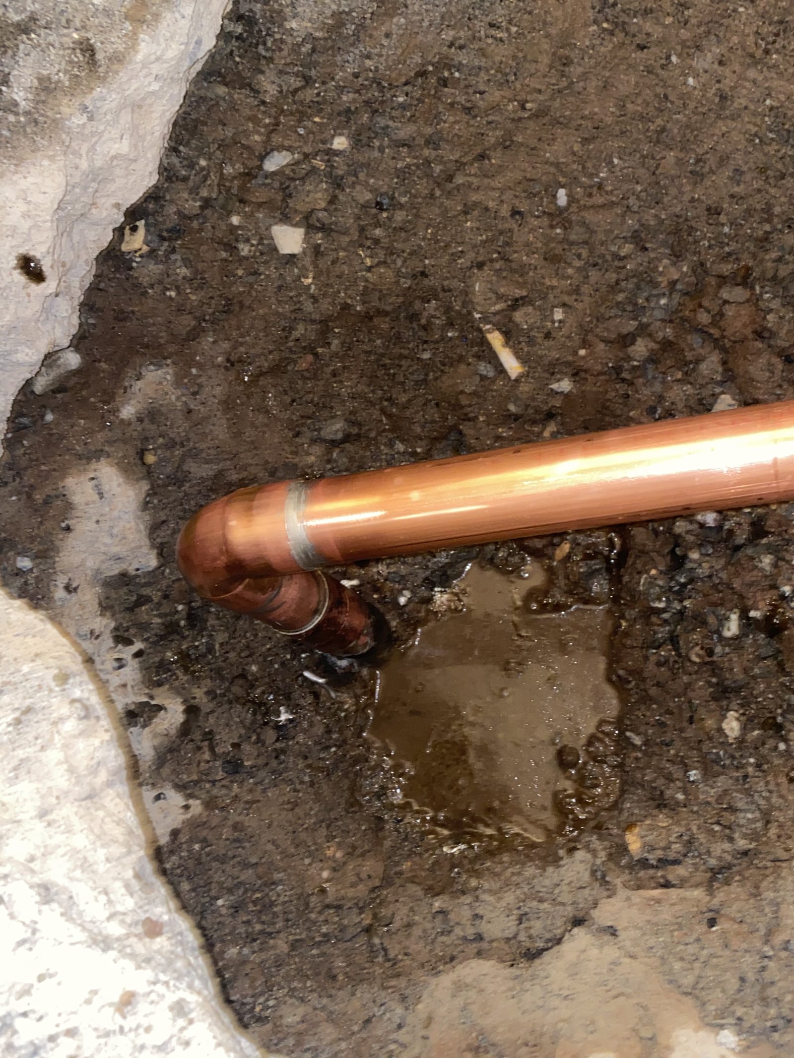 Copper Repipe — New copper supply line installed during a slab leak repair — clean joints, properly supported.